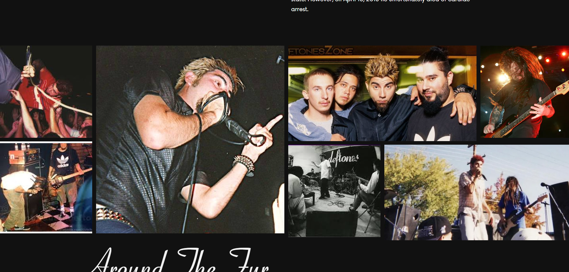 Around the fur website screenshot