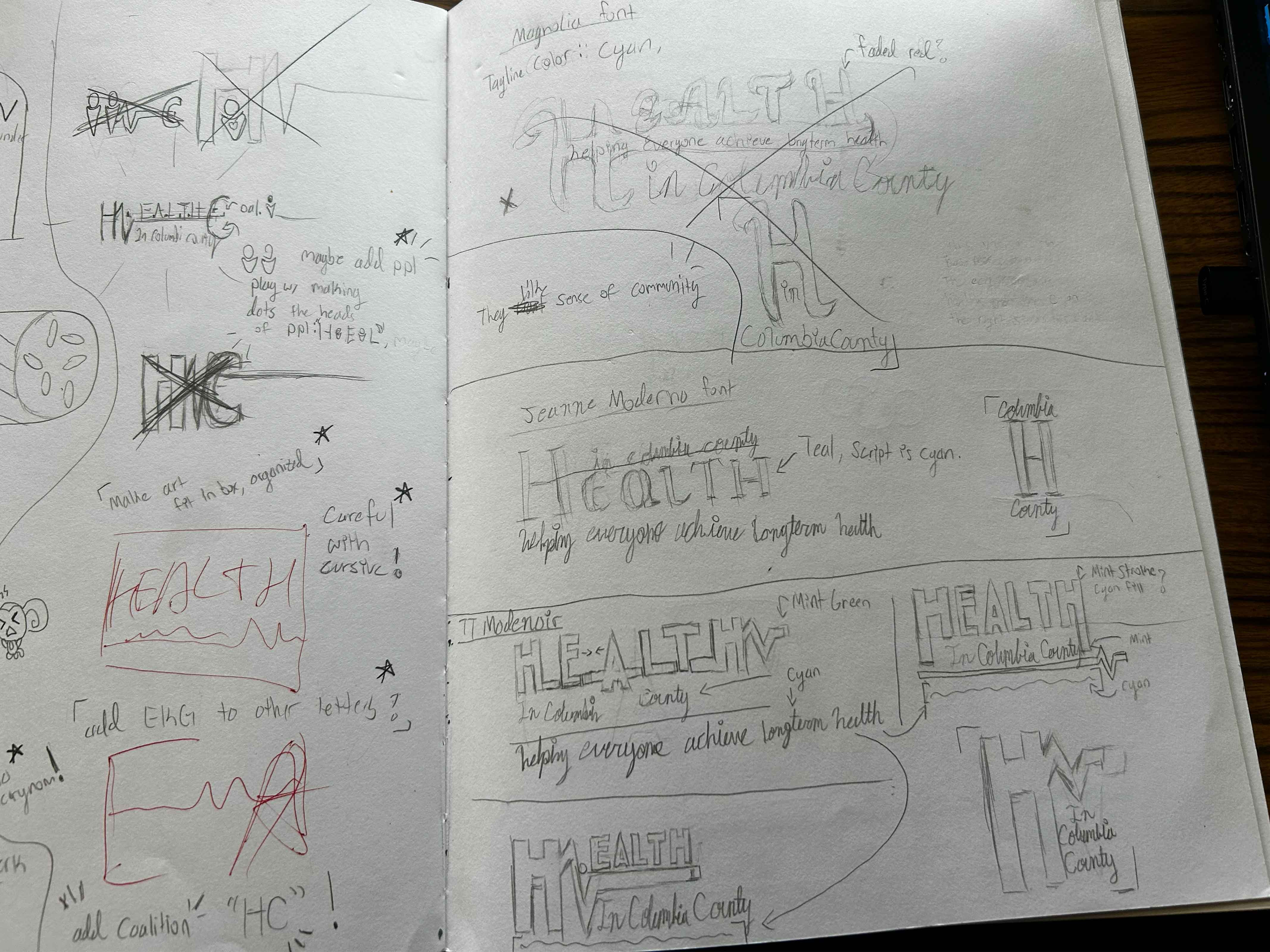HEALTH in columbia county sketches