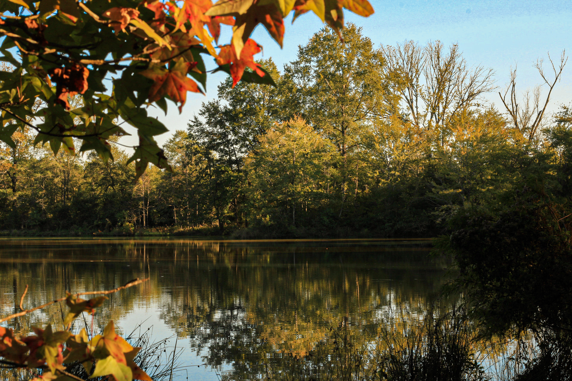 landscape of a remote lake and trees